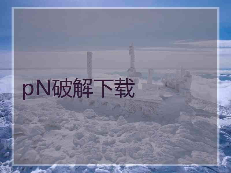 pN破解下载