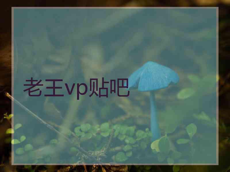 老王vp贴吧