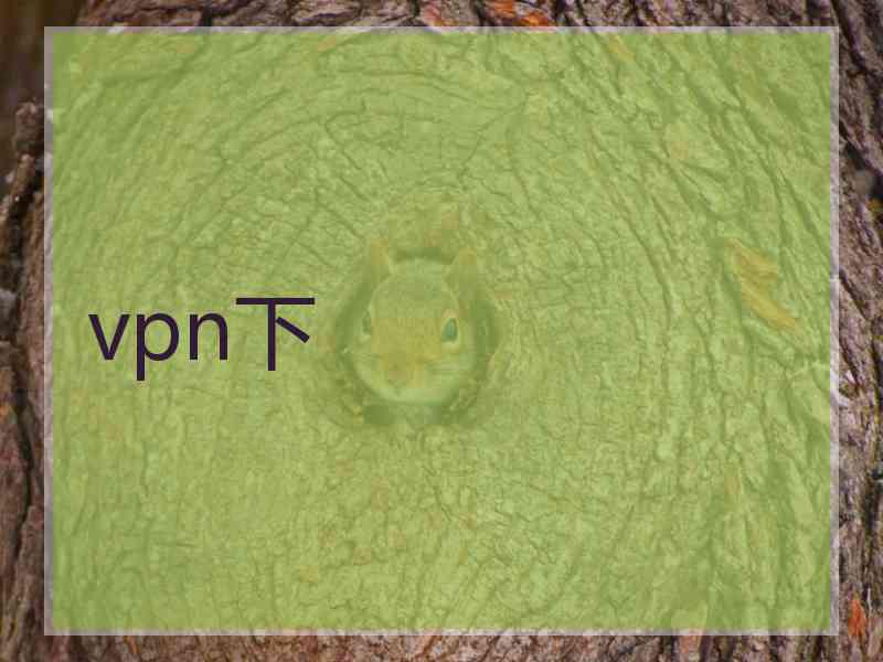 vpn下