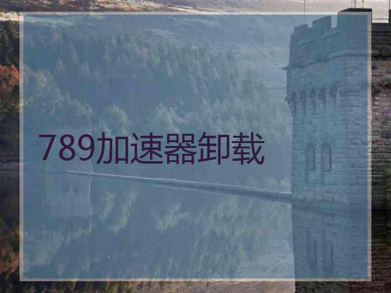 789加速器卸载